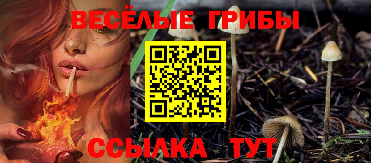 Галлюциногенные грибы MAGIC MUSHROOMS Наро-Фоминск